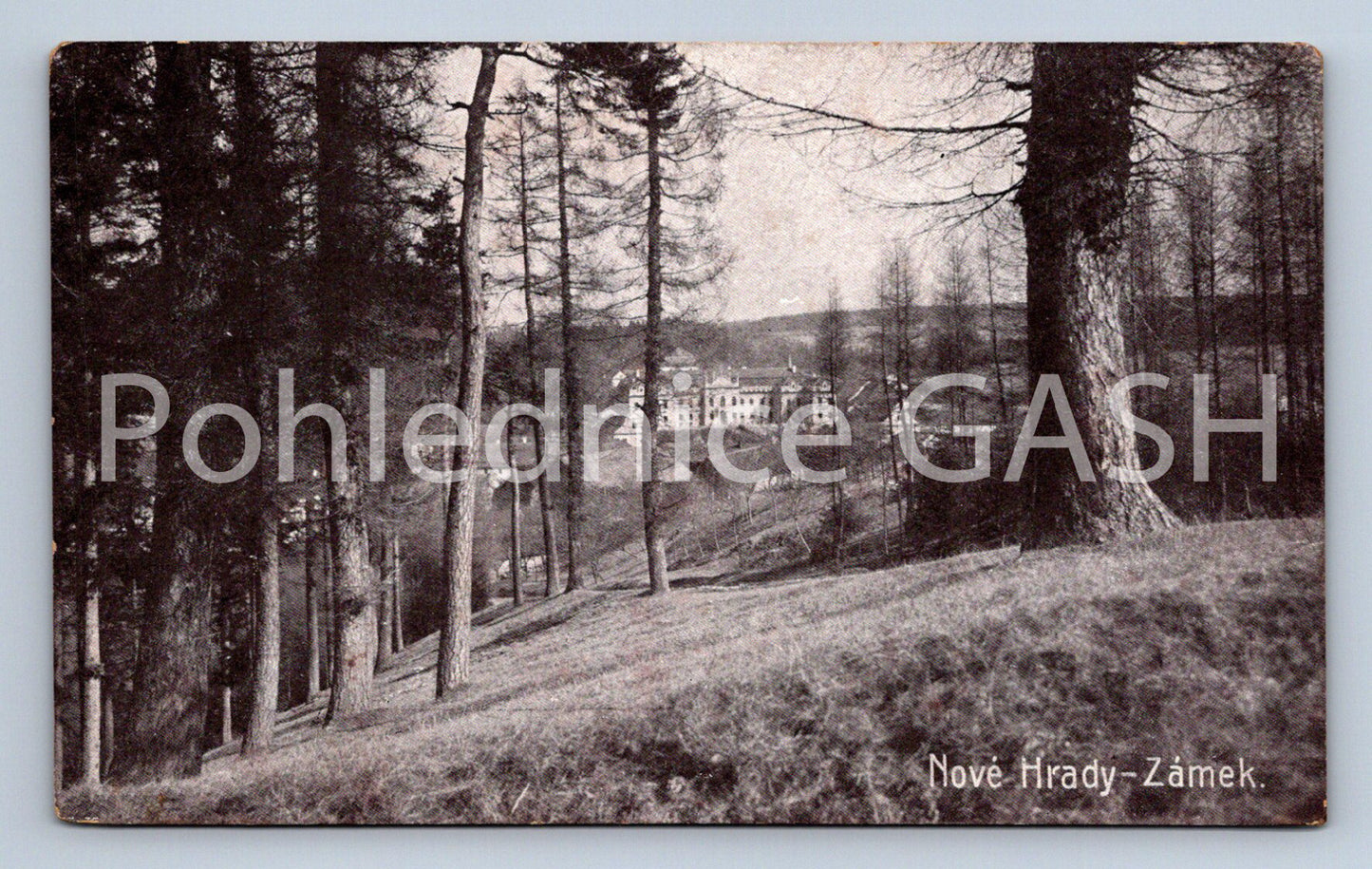 Postcard NOVÉ HRADY - CASTLE (ST6251)