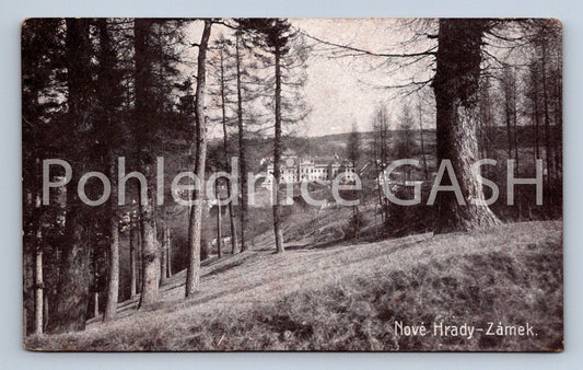 Postcard NOVÉ HRADY - CASTLE (ST6251)