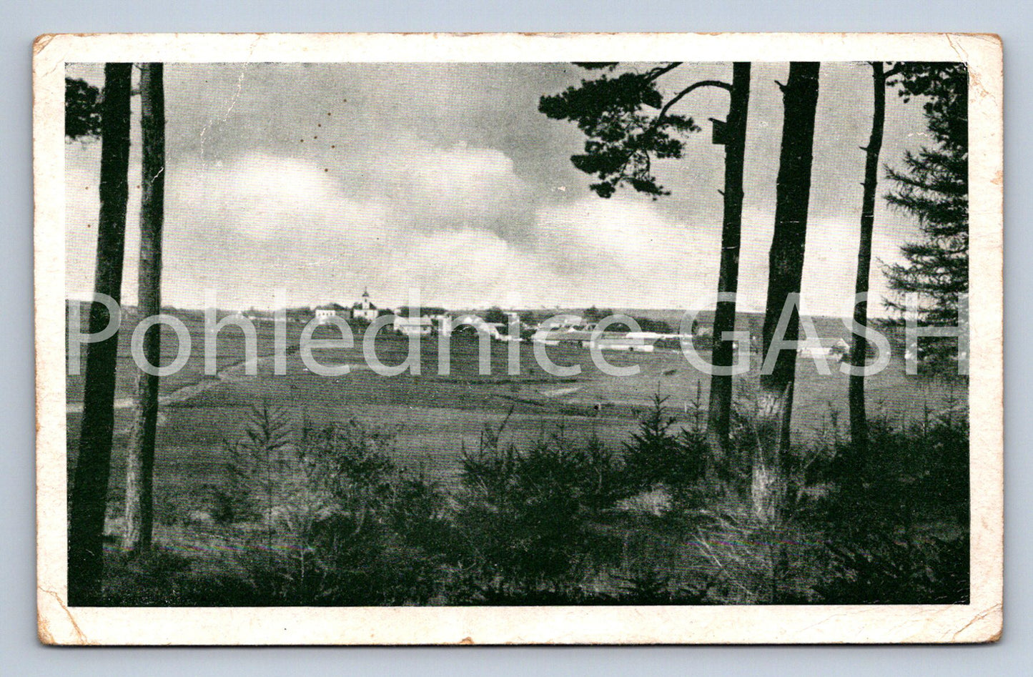 Postcard BEAUTY (ST6295)