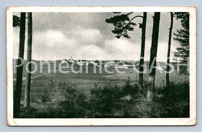 Postcard BEAUTY (ST6295)