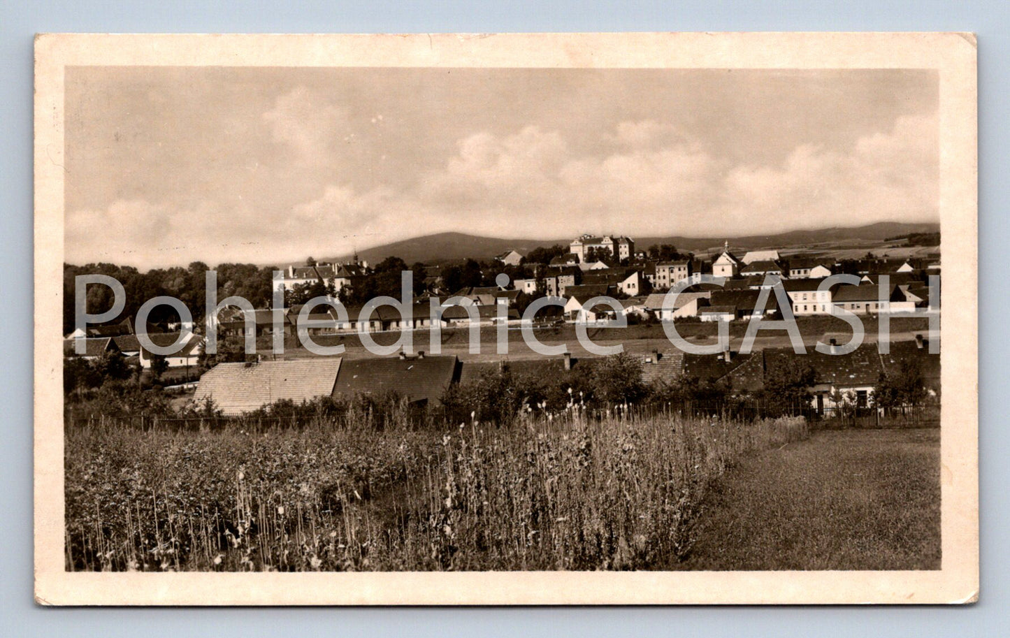 Postcard PROTIVÍN (ST6307)