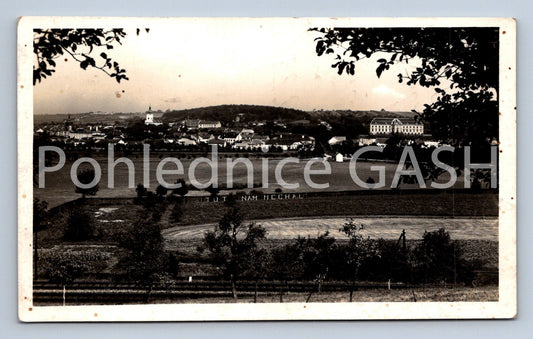 Postcard WATERING TREE (ST6410)