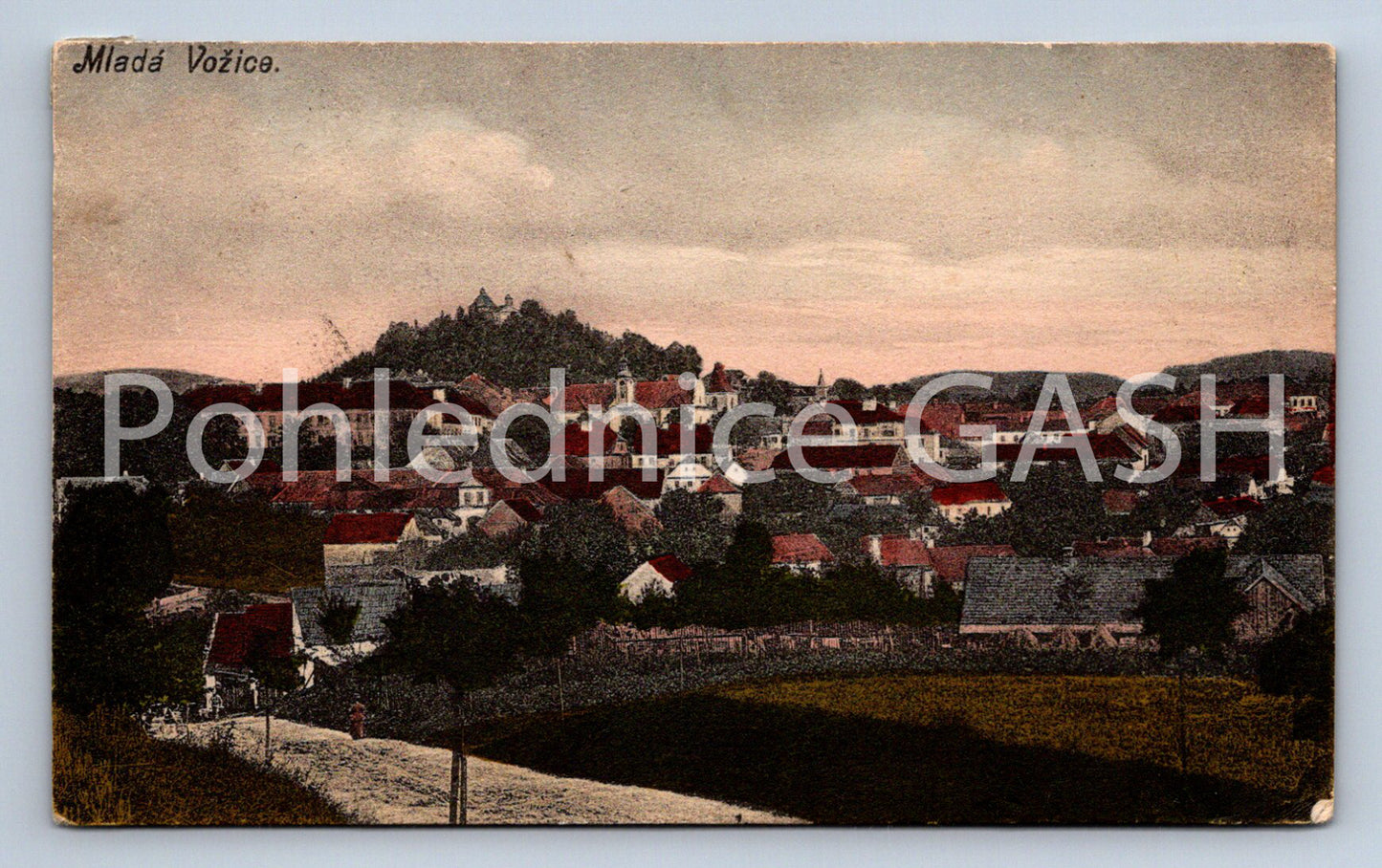 Postcard YOUNG CARRIER (ST6484)