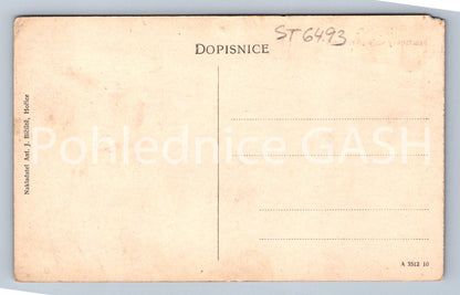 Postcard HOŘICE (ST6493)