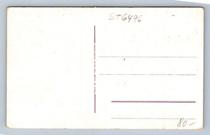 Postcard HOSTÝN (ST6496)