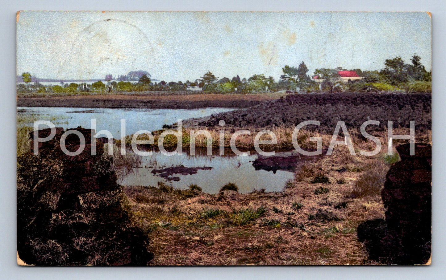 Postcard CZECH FIELD (ST6498)