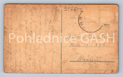 Postcard BOJKOVICE CASTLE SVĚTLOV (ST6503)