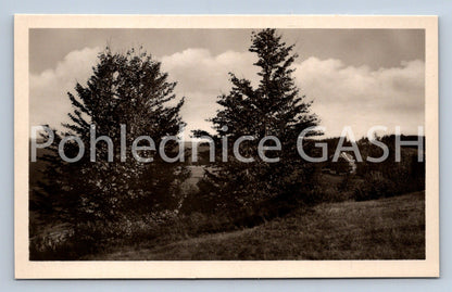 Postcard TOURIST COTTAGE ON BUMBÁLKA (ST6536)