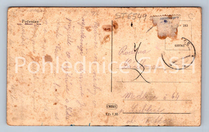 Postcard POČENICE (ST6549)
