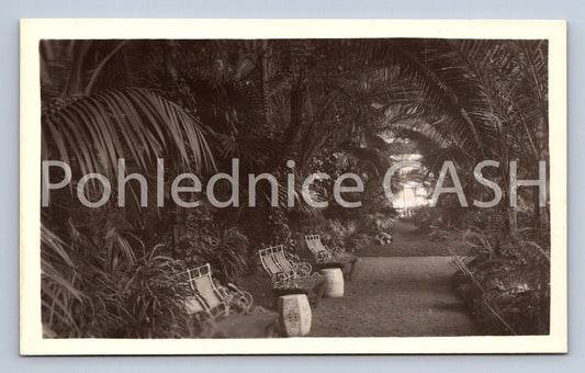 Pohlednice LEDNICE (ST4386)