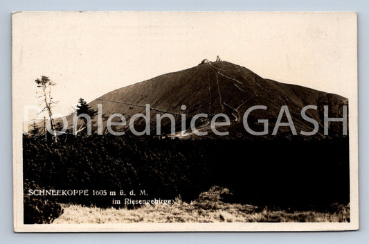 Pohlednice SCHNEEKOPPE 1605 M Ü.D.M. IM RIESENGEBIRGE (ST4422)