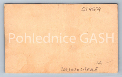 Pohlednice BOUZOV U LITOVELE (ST4504)
