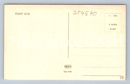 Pohlednice ČESKÝ DUB (ST4570)