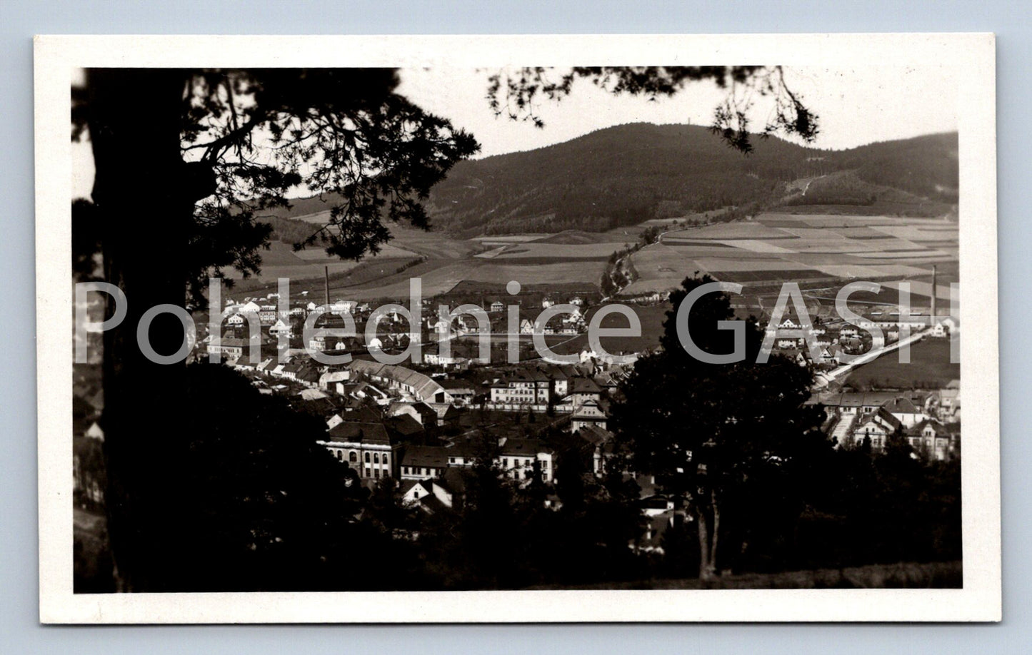 Postcard SUŠICE (ST4649)