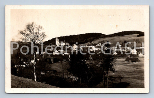Postcard OLEŠNICE IN THE ORLICKÉ MOUNTAINS (ST4692)