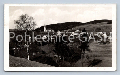 Postcard OLEŠNICE IN THE ORLICKÉ MOUNTAINS (ST4693)