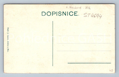 Postcard POLICE ABOVE METUJÍ (ST4694)