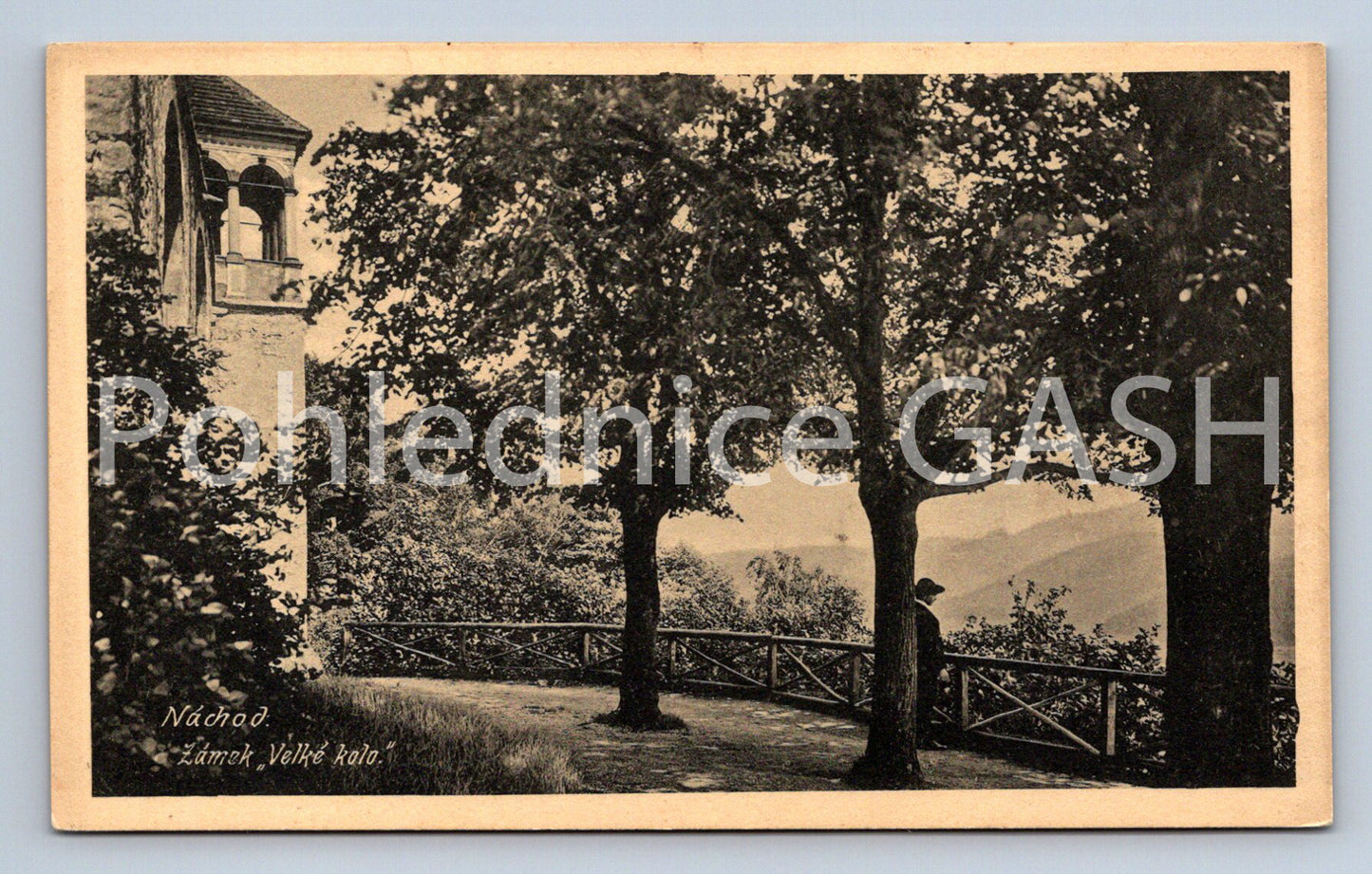 Postcard NÁCHOD (ST4736)