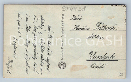 Postcard HRADEC KRÁLOVÉ (ST4758)