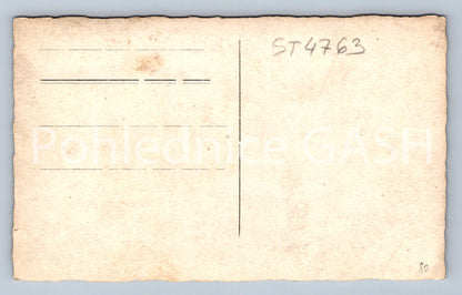 Postcard DVORACKA WITH WOLF'S COMB (ST4763)