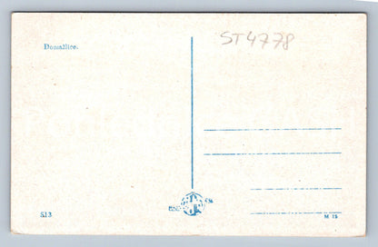 Postcard HOUSEWIFE (ST4778)