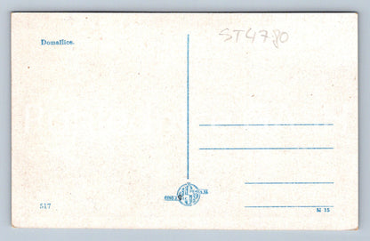 Postcard HOUSEWIFE (ST4780)