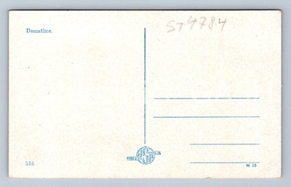 Postcard HOUSEWIFE (ST4784)