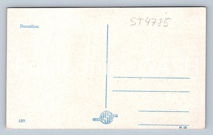 Postcard HOUSEWIFE (ST4785)