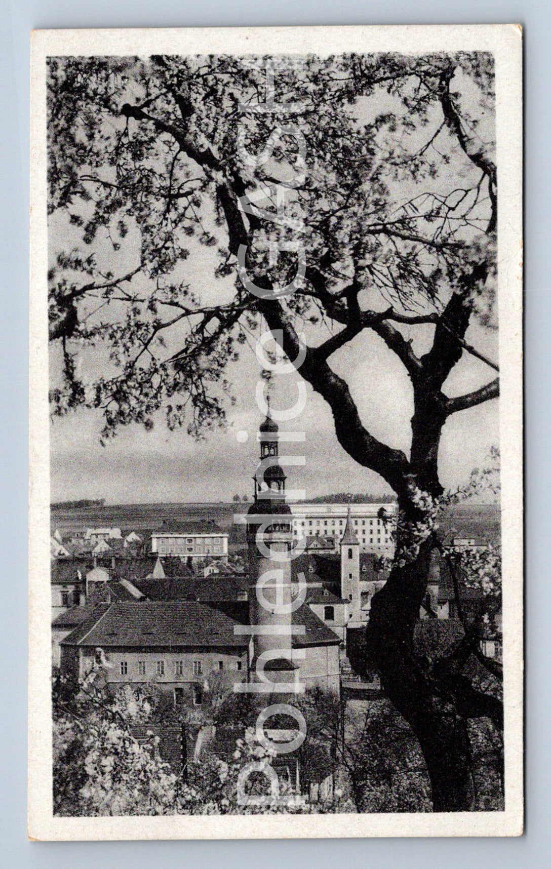 Postcard HOUSEWIFE (ST4785)