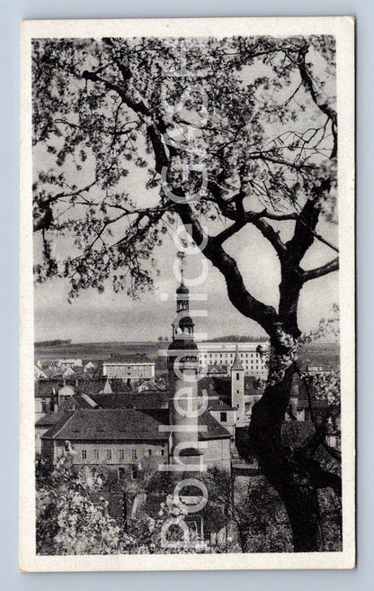 Postcard HOUSEWIFE (ST4785)