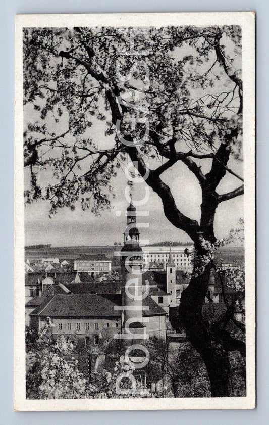 Postcard HOUSEWIFE (ST4785)