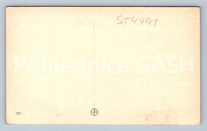 Postcard KUTNÁ HORA (ST4791)