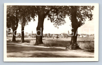 Postcard MUDDY (ST4792)