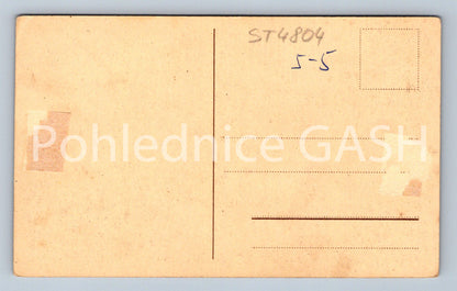 Postcard NÁCHOD (ST4804)