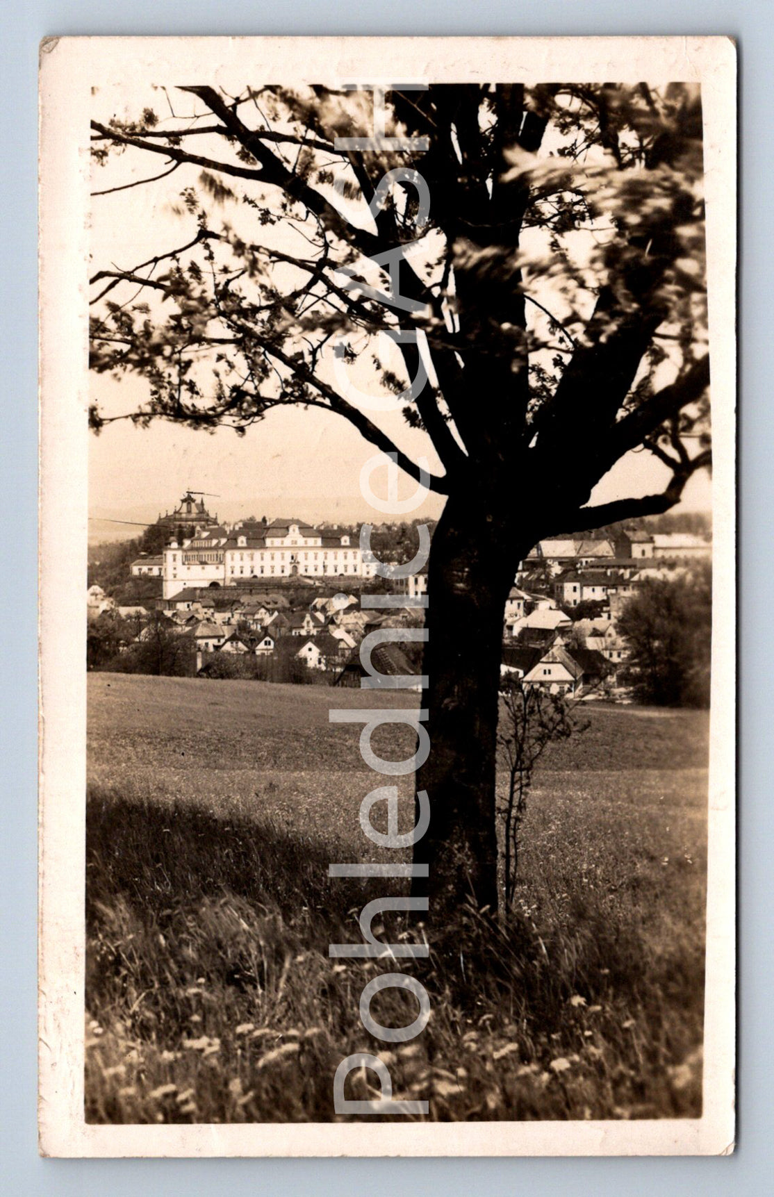 Postcard RYCHNOV NAD KNĚŽNOU (ST4859)