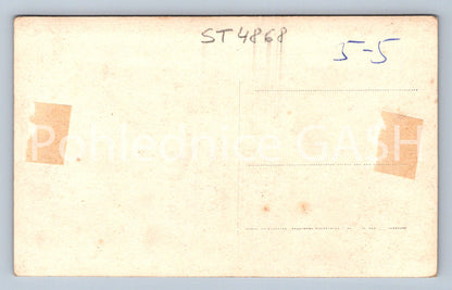 Postcard NÁCHOD (ST4868)