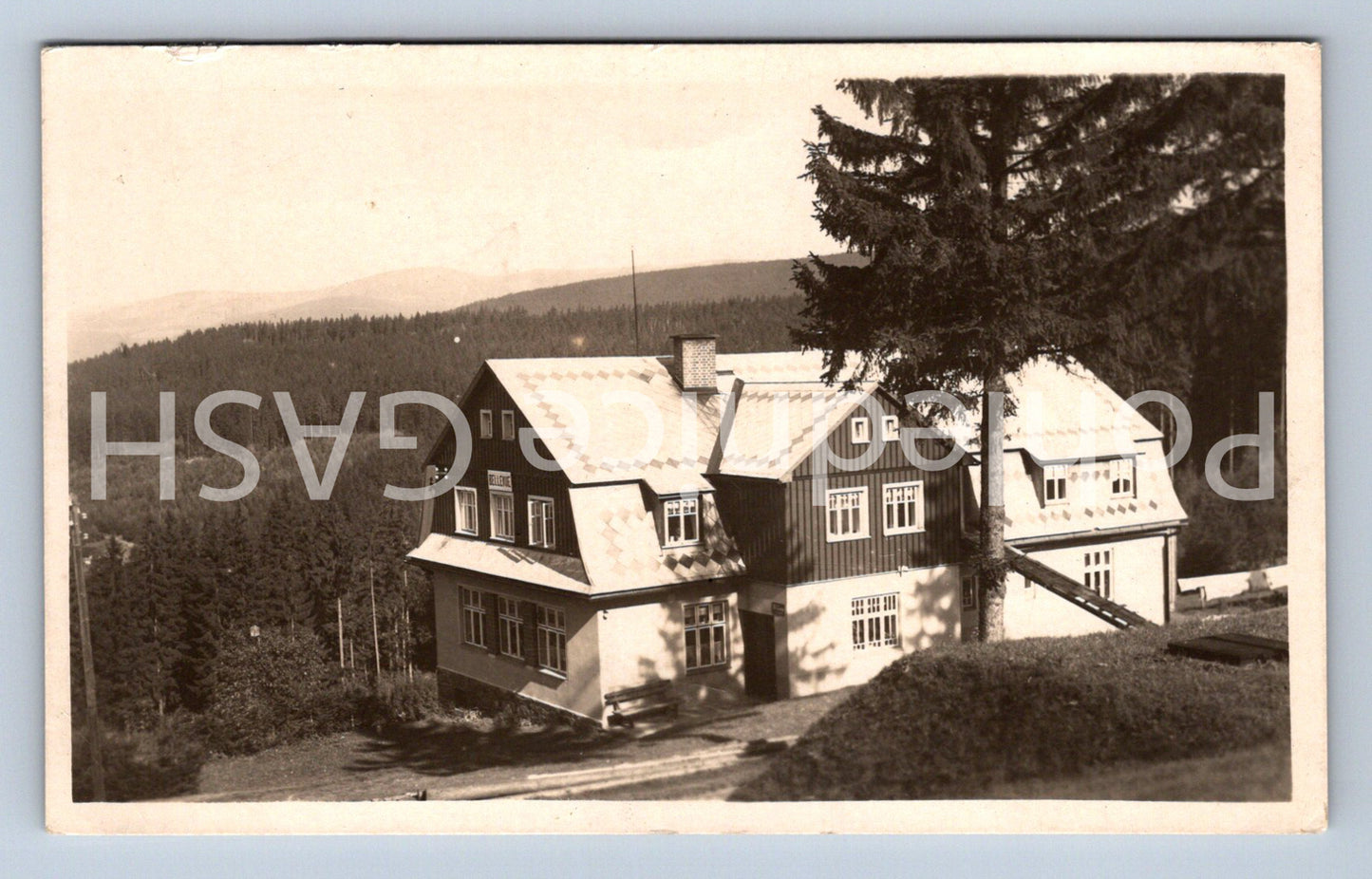 Postcard BELLEVUE RESTAURANT 860 MNM (ST4897)