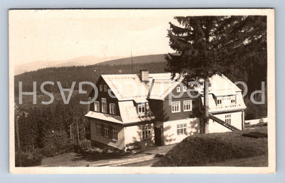 Postcard BELLEVUE RESTAURANT 860 MNM (ST4897)