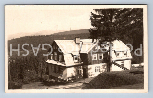 Postcard BELLEVUE RESTAURANT 860 MNM (ST4897)