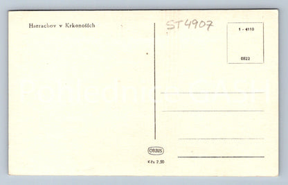 Postcard HARRACHOV IN THE KRKONOSZIE (ST4907)