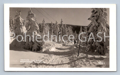 Postcard KRKONOSE - WINTER FAIRY TALE (ST4929)