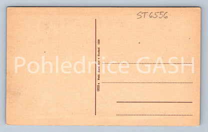 Postcard HUSINEC - HUS'S BIRTHDAY HOUSE (ST6556)