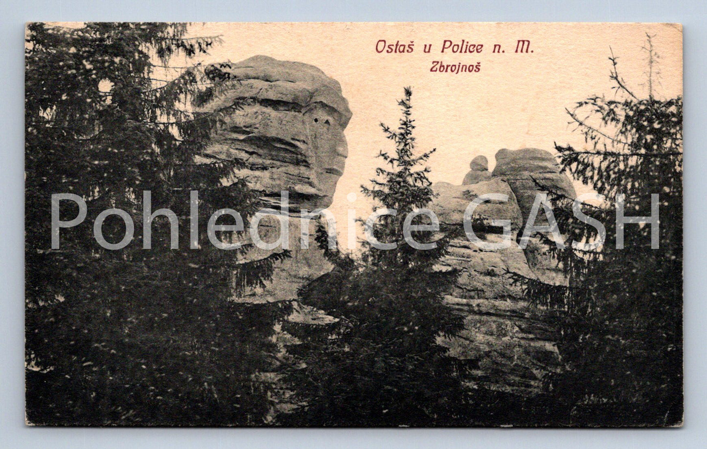 Postcard STAY AT THE POLICE NM ZDROJNOŠ (ST6558)