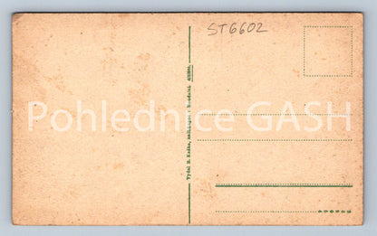 Postcard ROUDICE NAD LABEM (ST6602)