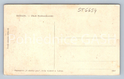 Postcard TĚŠNOV - ELBE RESERVOIR IN TĚŠNOV (ST6654)