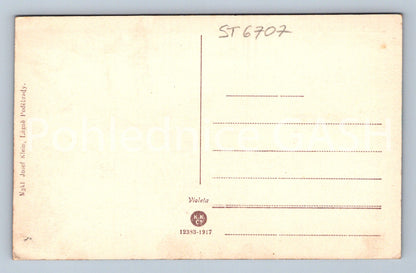 Postcard LÁZNĚ PODEBRADY (ST6707)