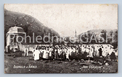 Postcard THEATRE IN THE SHARK (ST6726)