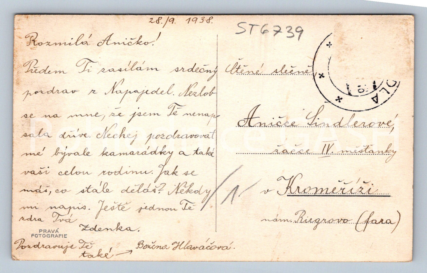 Postcard GREETINGS FROM NAPAJEDLA - COLLAGE (ST6739)