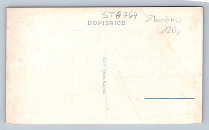 Postcard ACCORDING TO THE ORIGINAL BY AL. KALIVODA - BRICK (ST6764)