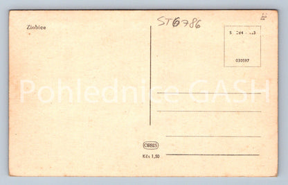 Postcard EVIL (ST6786)